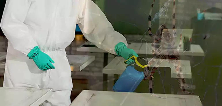 Why Buyers Still Want Homes With Pest Infestations in New Haven, CT?