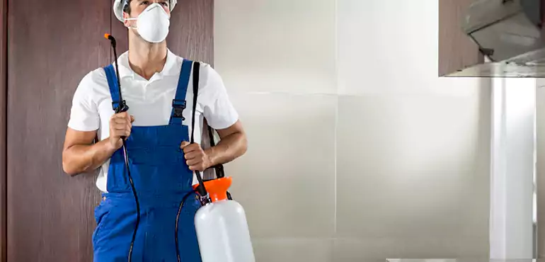 Why New Haven Homeowners Choose Us When Pests Make Selling Difficult