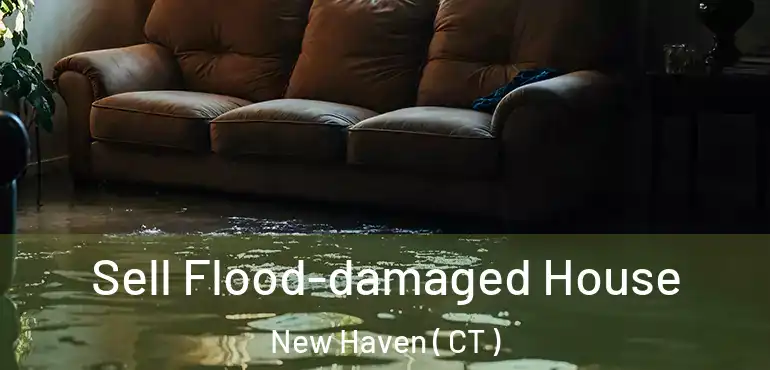  Sell Flood-damaged House New Haven ( CT )