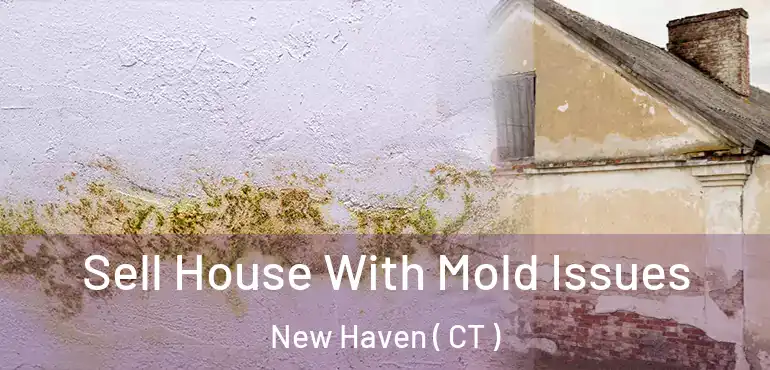  Sell House With Mold Issues New Haven ( CT )