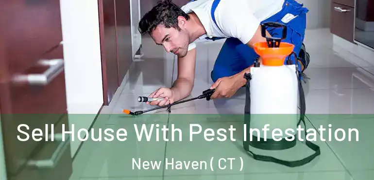  Sell House With Pest Infestation New Haven ( CT )